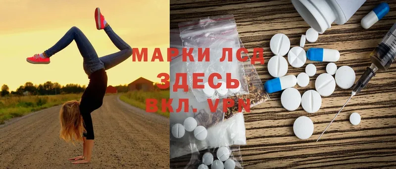 blacksprut как зайти  Боровск  Лсд 25 экстази ecstasy 